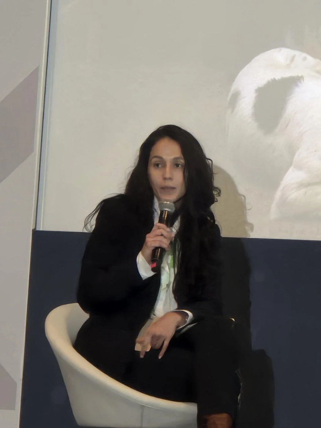 Natalia Carrero, the panel’s moderator, representing CEELA.