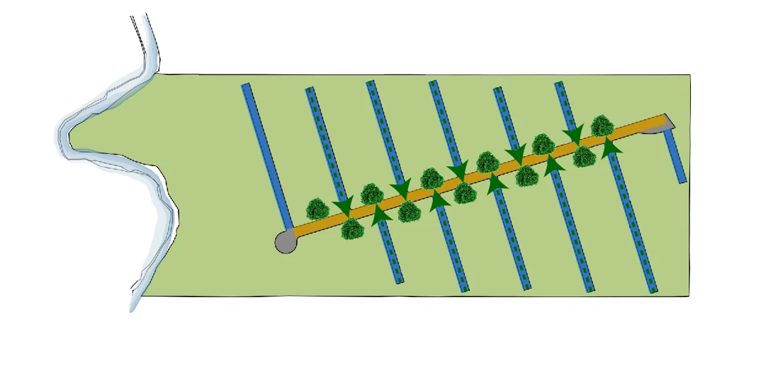Visual closure: every secondary street ends in a mass of trees, so the eye finds landscape rather than the end of the asphalt.