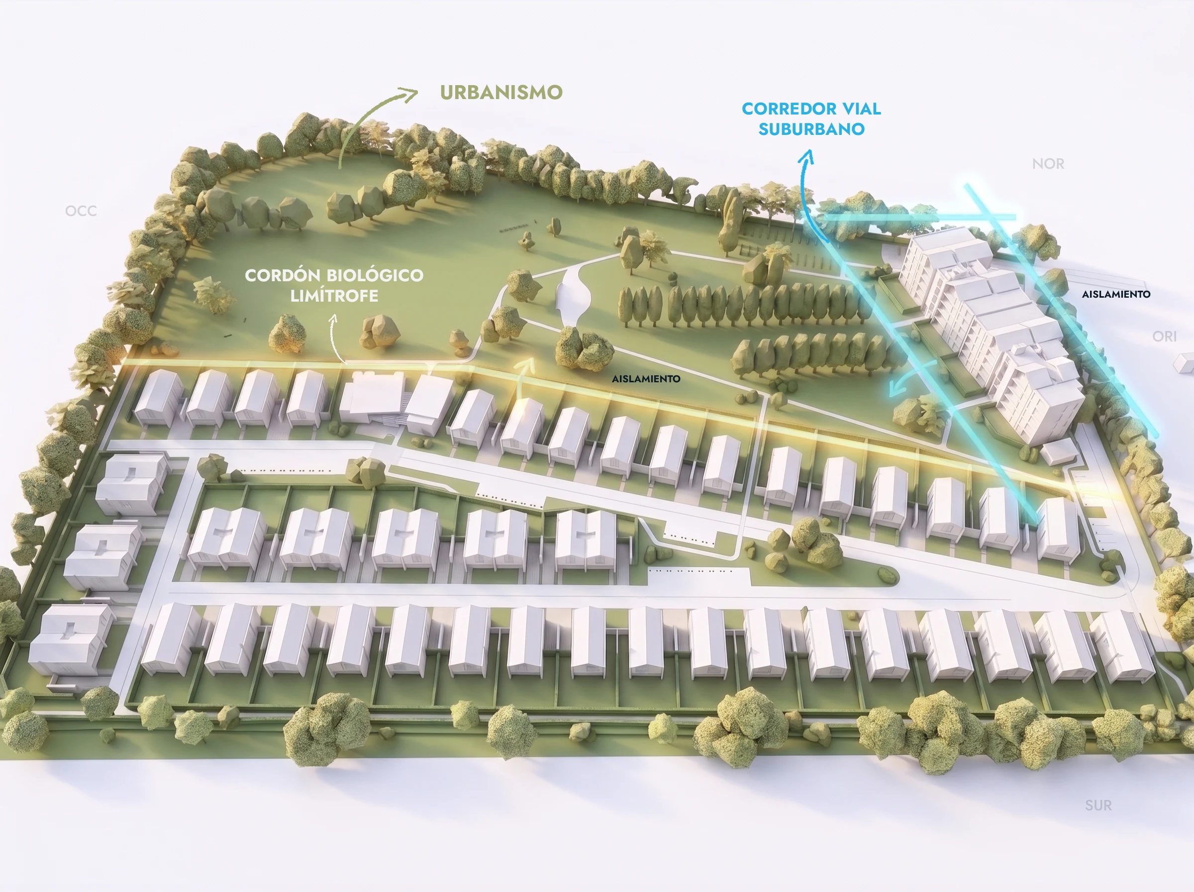 The protected areas, the bounding biological corridor and the setback strips were not read as obstacles but as the lines that guided the design.