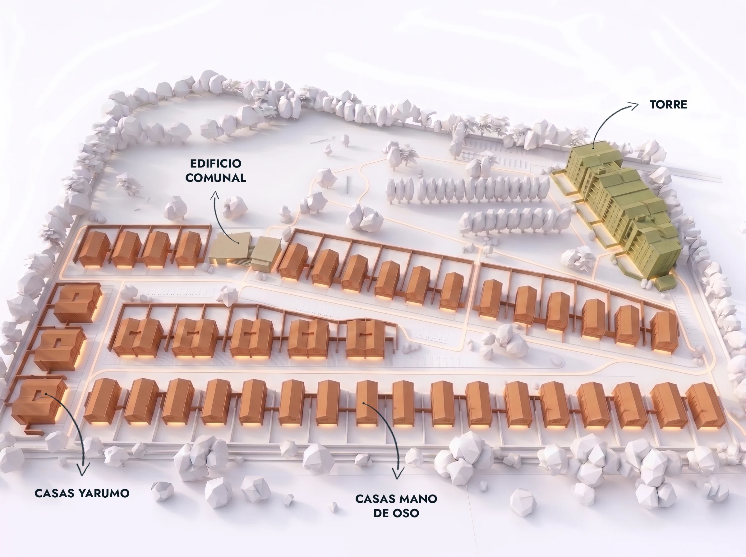 Yarumo houses, Mano de Oso houses, community building and tower: the pieces of the ensemble, each with its own way of looking at the forest.