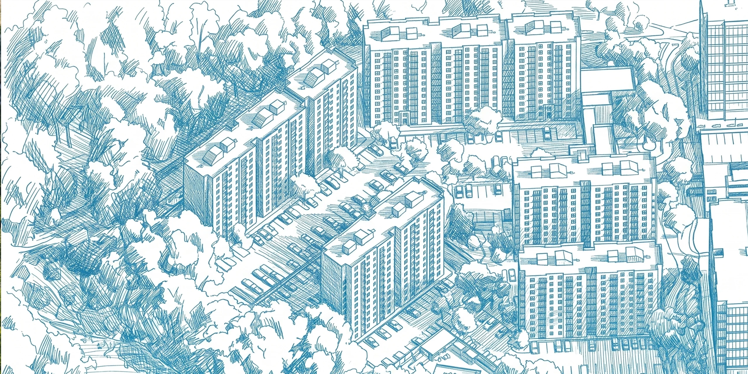 The first sketch — Flora