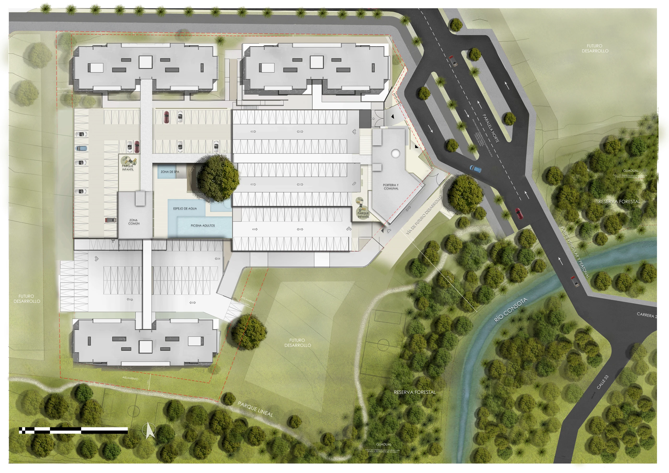 General site plan, June version. The towers step along the contour lines and leave the edge of the guadual untouched.