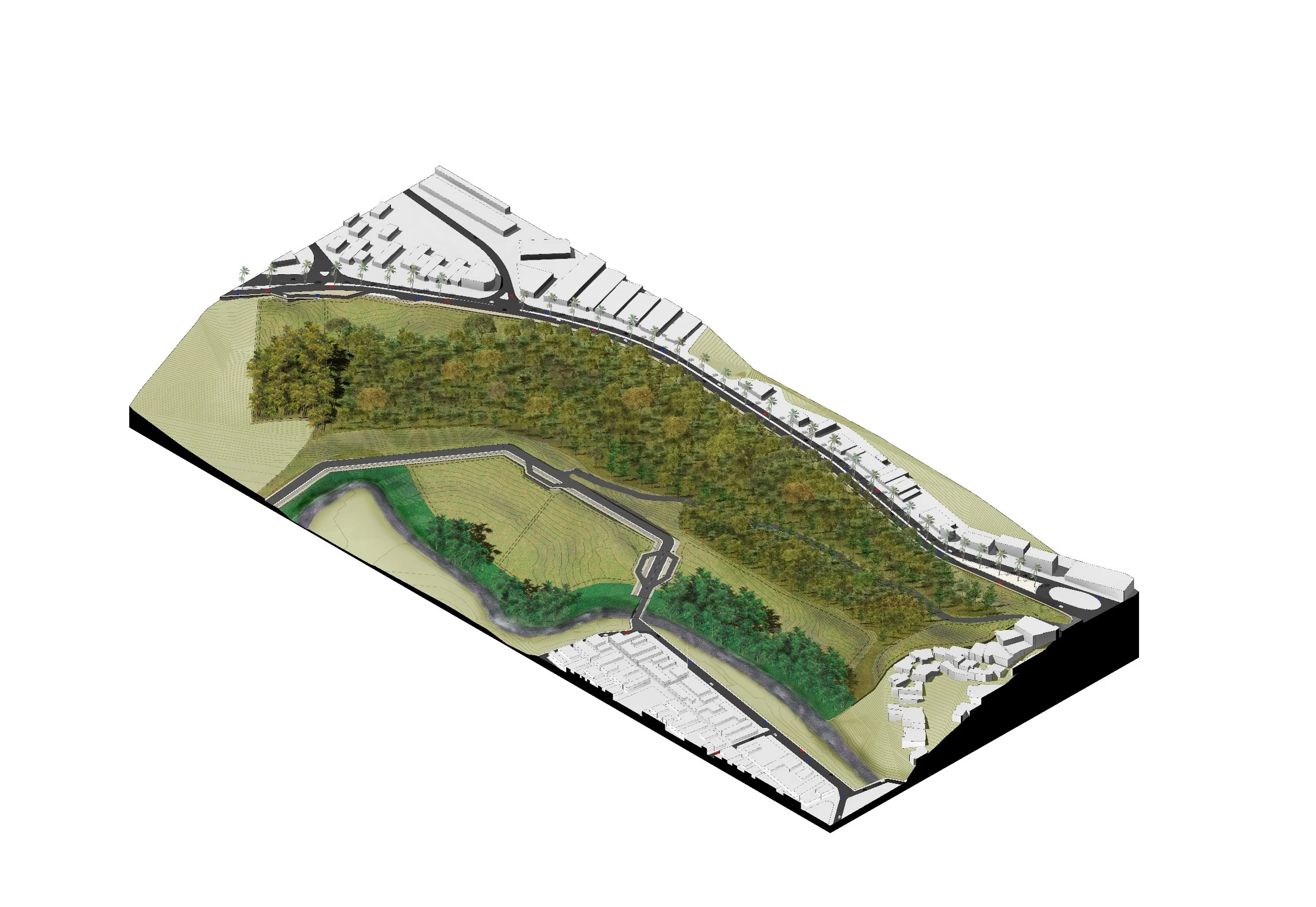 The site in axonometric: the Consota valley, the mass of guadua, the avenue along the high ground and the existing fabric on either side.