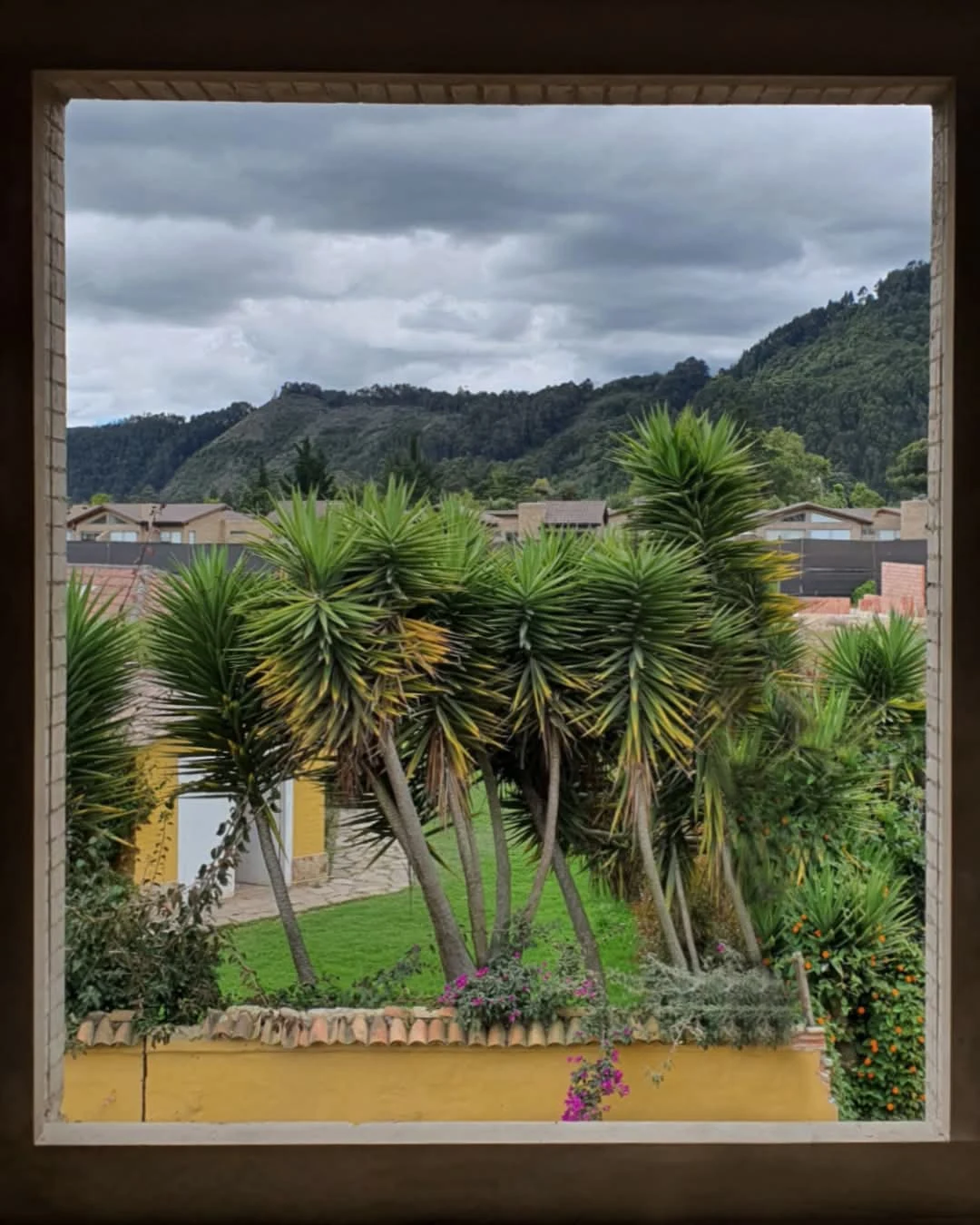 From inside a house, the window frames the garden and the hills of the savanna: the landscape is incorporated into the project as one more element.